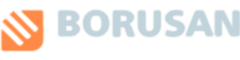 Borusan Holding